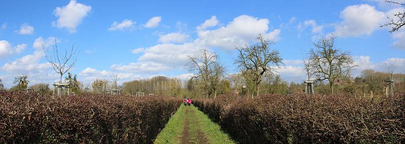 Winterwandeling op 2-3-2014 org. Armand en Judith Menten (23).JPG